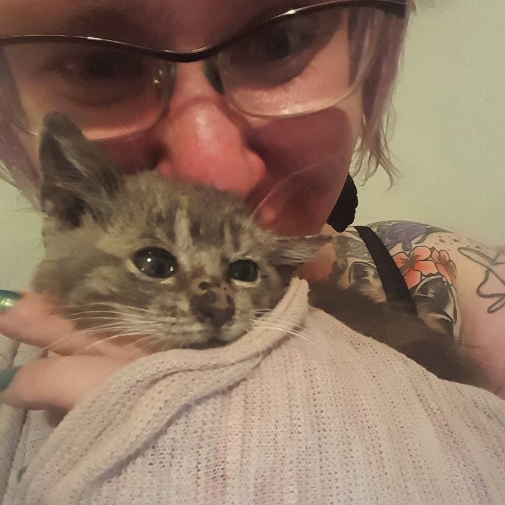 Meet your Posher, Autumn